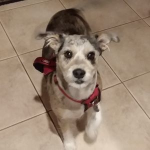 Meet your Posher, Yvonne